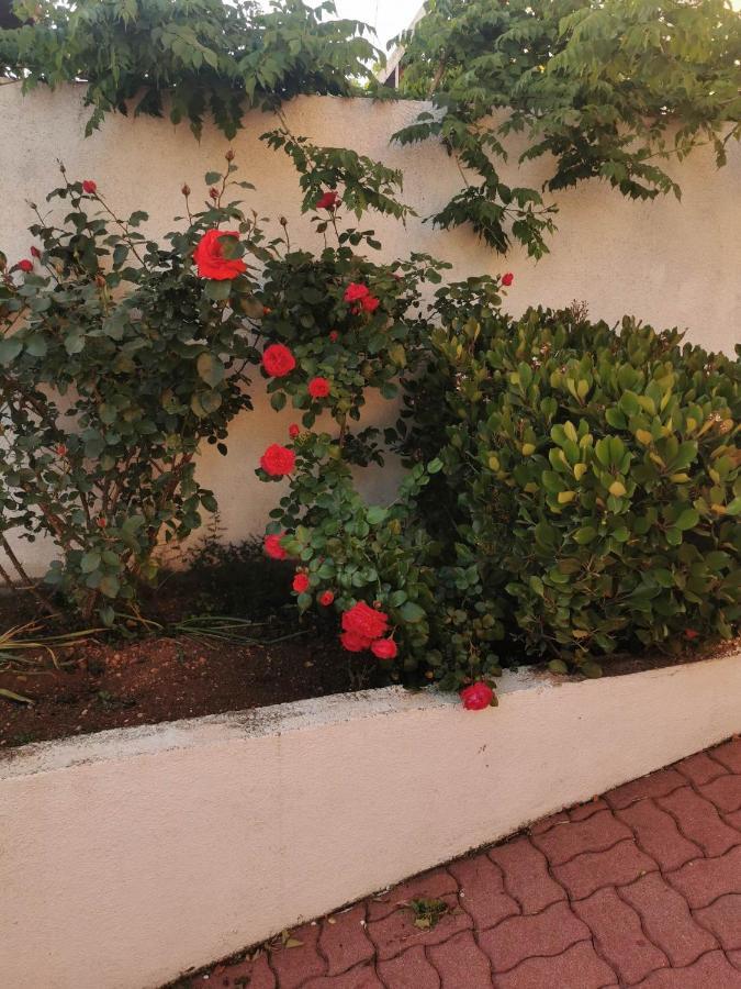 Guesthouse Nadia Senj  Εξωτερικό φωτογραφία